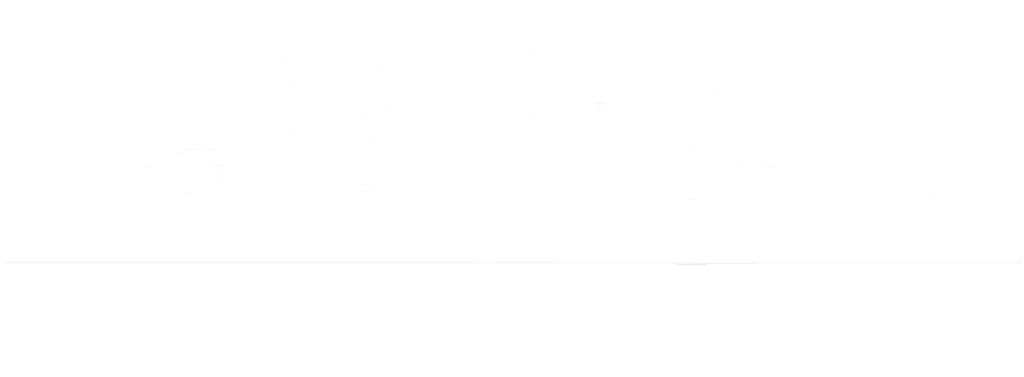 logo dub en station bannière